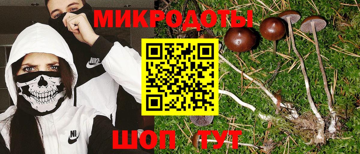 Галлюциногенные грибы прущие грибы Знаменск